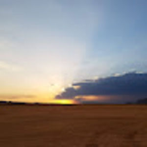 Meet your Posher, Sydney